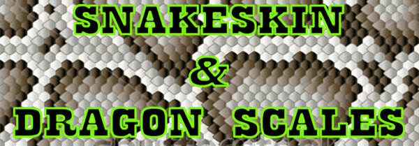 Snakeskin and Dragon Scales Airbrushing Video Instant Download